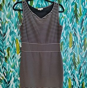 Max Studio Dress Size Medium